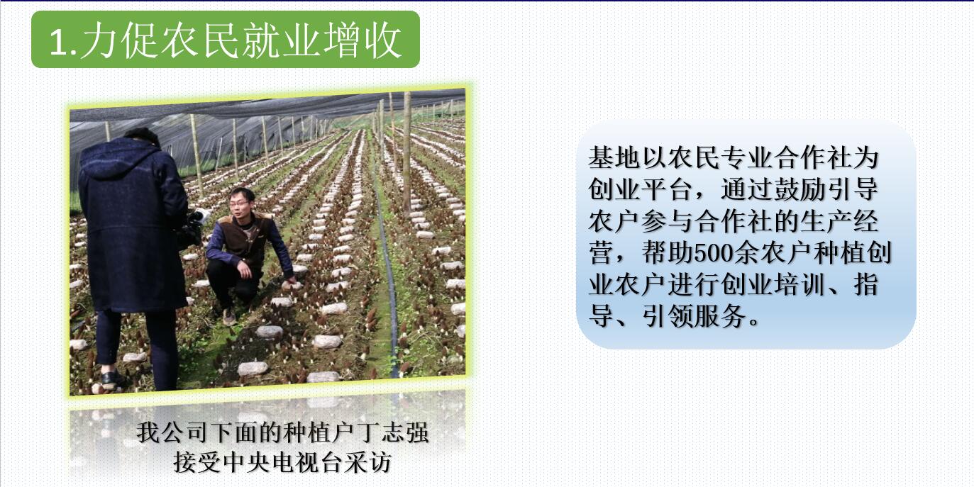 &#31859;&#20848;&#23448;&#26041;&#32593;&#39029;&#29256;&#45;&#31859;&#20848;&#40;&#20013;&#22269;&#41;